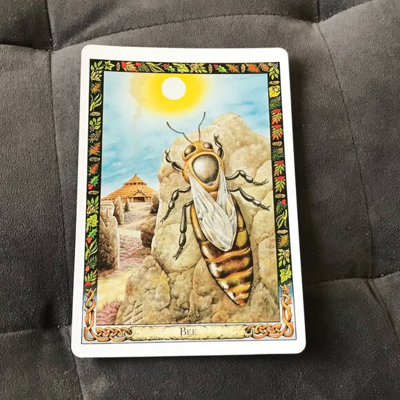 The Druid Animal Oracle Cards Philip & Stephanie Carr-Gomm - Picture 6 of 10